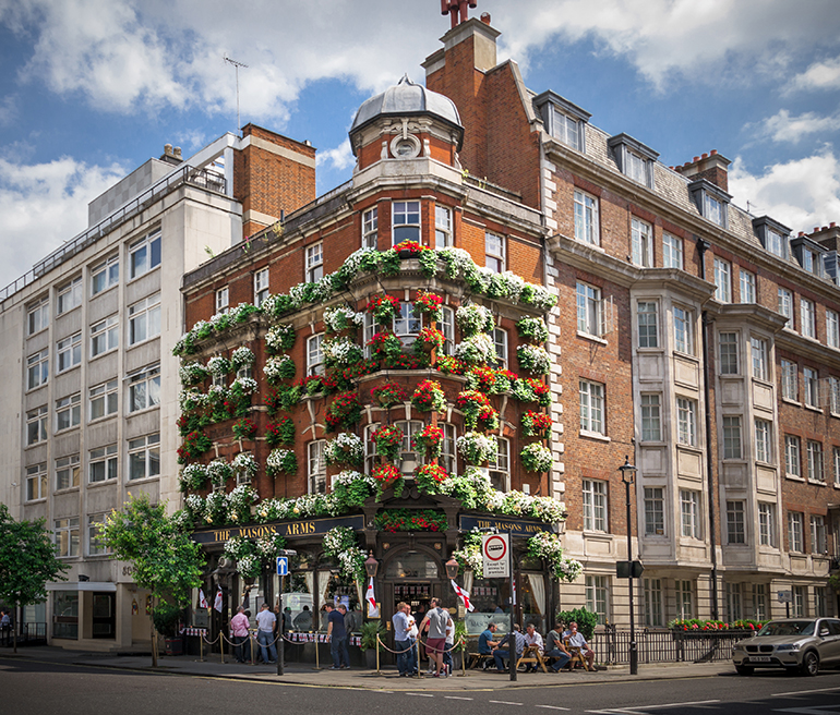 Hanging Basket Maintenance Service London UK